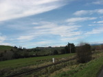 New Zealand Countryside