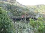 Joel on the walkway